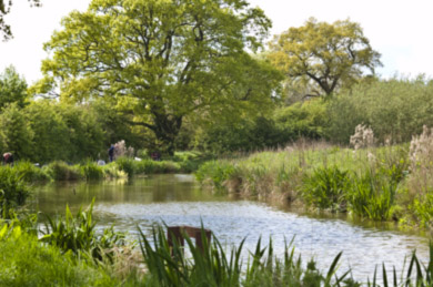 Izaak Walton - canal pool
